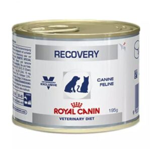 Ração Clínica Royal Recovery Lata 195Grs