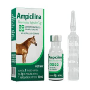 AMPICILINA INJETAVEL 2G